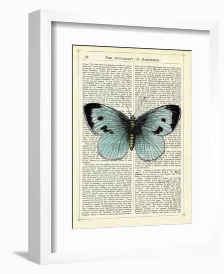 Blue Butterfly-Marion Mcconaghie-Framed Art Print