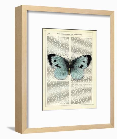 Blue Butterfly-Marion Mcconaghie-Framed Art Print