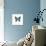 Blue Butterfly-PhotoINC-Photographic Print displayed on a wall