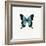 Blue Butterfly-PhotoINC-Framed Photographic Print