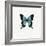 Blue Butterfly-PhotoINC-Framed Photographic Print