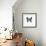 Blue Butterfly-PhotoINC-Framed Photographic Print displayed on a wall