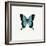 Blue Butterfly-PhotoINC-Framed Photographic Print