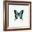 Blue Butterfly-PhotoINC-Framed Photographic Print