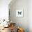 Blue Butterfly-PhotoINC-Mounted Photographic Print displayed on a wall
