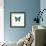 Blue Butterfly-PhotoINC-Framed Photographic Print displayed on a wall