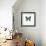 Blue Butterfly-PhotoINC-Framed Photographic Print displayed on a wall