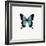 Blue Butterfly-PhotoINC-Framed Photographic Print