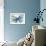 Blue butterfly-Allison Pearce-Framed Premium Giclee Print displayed on a wall