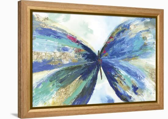 Blue butterfly-Allison Pearce-Framed Stretched Canvas