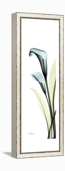 Blue Callas-Albert Koetsier-Framed Stretched Canvas