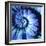 Blue Camomile Daisy Flower Spiral Abstract Fractal Effect Pattern Background. Blue Violet Navy Flow-Mikhail Leonov-Framed Photographic Print
