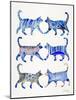 Blue Cat Collection-Cat Coquillette-Mounted Giclee Print