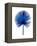 Blue Chamaerops Leaf-Jasmine Woods-Framed Stretched Canvas