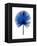 Blue Chamaerops Leaf-Jasmine Woods-Framed Stretched Canvas