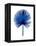 Blue Chamaerops Leaf-Jasmine Woods-Framed Stretched Canvas