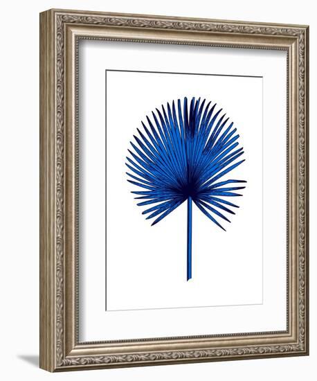 Blue Chamaerops Leaf-Jasmine Woods-Framed Premium Giclee Print