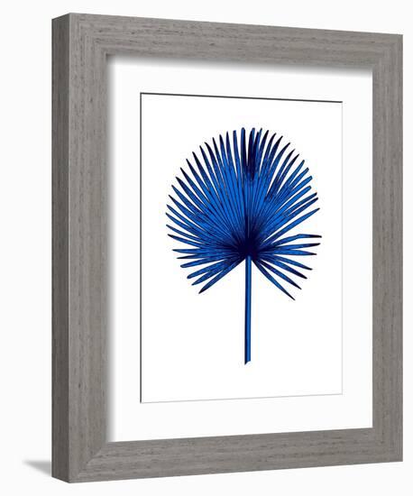 Blue Chamaerops Leaf-Jasmine Woods-Framed Premium Giclee Print