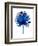 Blue Chamaerops Leaf-Jasmine Woods-Framed Premium Giclee Print