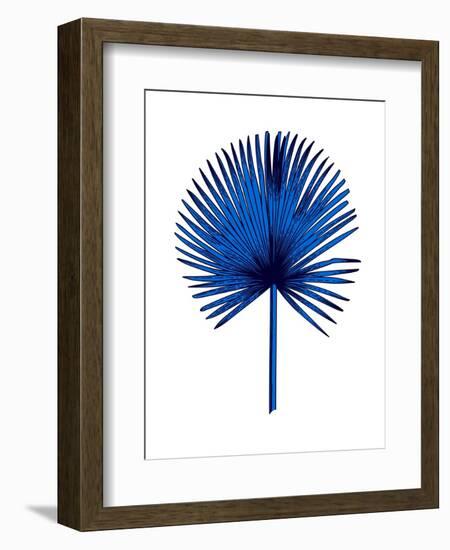 Blue Chamaerops Leaf-Jasmine Woods-Framed Premium Giclee Print