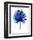 Blue Chamaerops Leaf-Jasmine Woods-Framed Premium Giclee Print