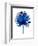 Blue Chamaerops Leaf-Jasmine Woods-Framed Premium Giclee Print