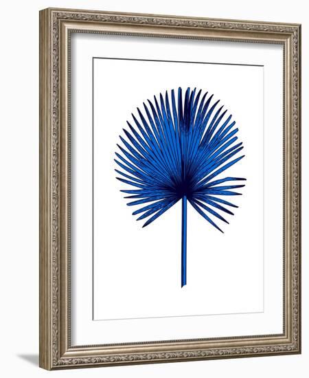 Blue Chamaerops Leaf-Jasmine Woods-Framed Art Print