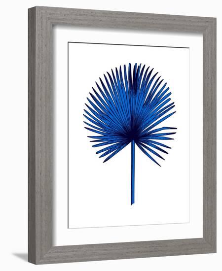 Blue Chamaerops Leaf-Jasmine Woods-Framed Art Print