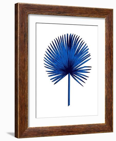 Blue Chamaerops Leaf-Jasmine Woods-Framed Art Print