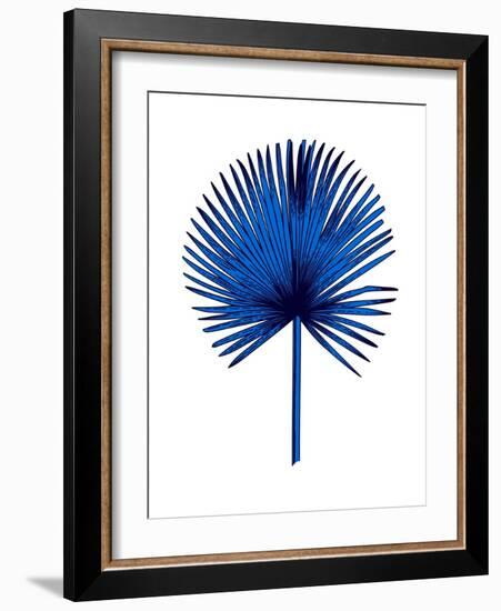 Blue Chamaerops Leaf-Jasmine Woods-Framed Art Print