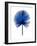 Blue Chamaerops Leaf-Jasmine Woods-Framed Art Print