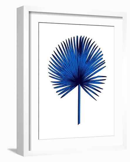 Blue Chamaerops Leaf-Jasmine Woods-Framed Art Print