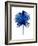 Blue Chamaerops Leaf-Jasmine Woods-Framed Art Print