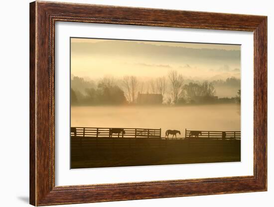 Blue Chip Horse Farm Golden Morning-Robert Goldwitz-Framed Photographic Print