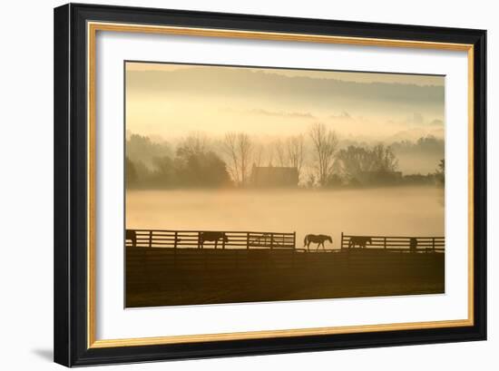 Blue Chip Horse Farm Golden Morning-Robert Goldwitz-Framed Photographic Print