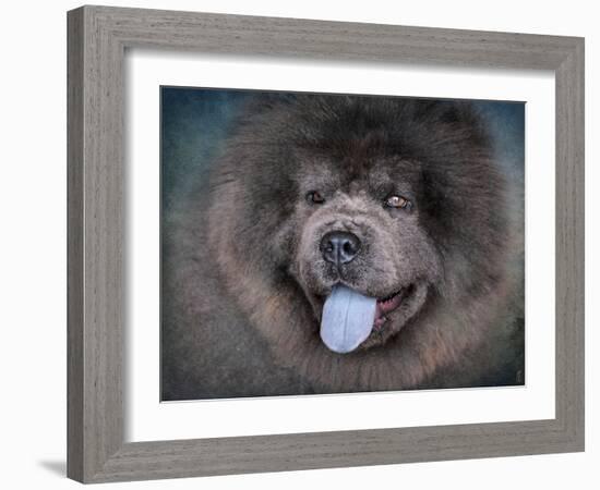 Blue Chow Chow Portrait-Jai Johnson-Framed Giclee Print