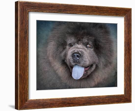 Blue Chow Chow Portrait-Jai Johnson-Framed Giclee Print