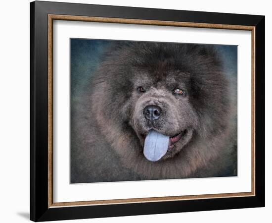 Blue Chow Chow Portrait-Jai Johnson-Framed Giclee Print