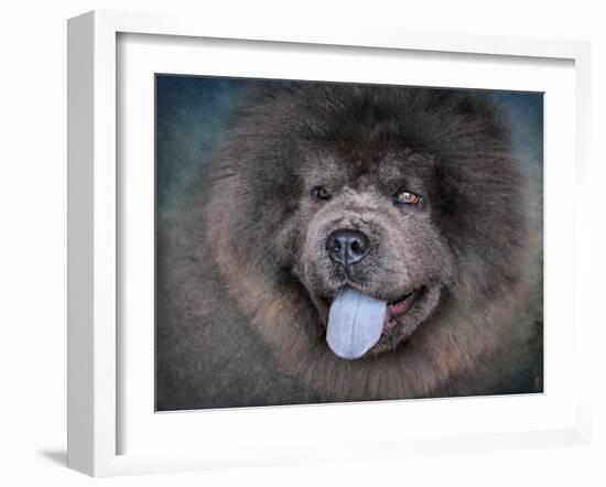 Blue Chow Chow Portrait-Jai Johnson-Framed Giclee Print