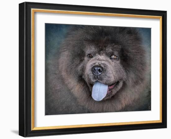 Blue Chow Chow Portrait-Jai Johnson-Framed Giclee Print