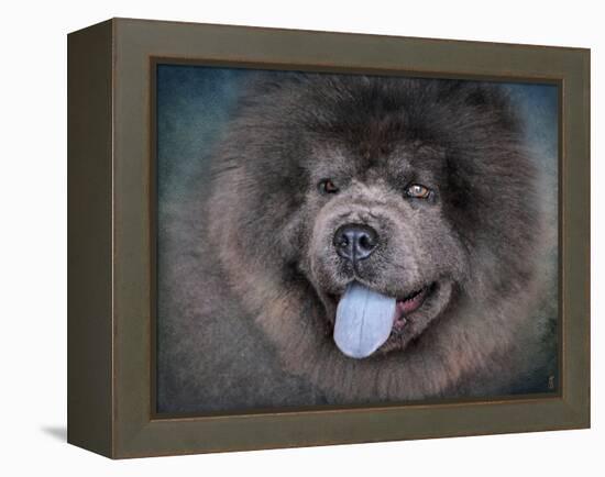 Blue Chow Chow Portrait-Jai Johnson-Framed Premier Image Canvas