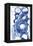 Blue Circle Study II-Jodi Fuchs-Framed Stretched Canvas