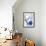 Blue Circle Study III-Jodi Fuchs-Framed Art Print displayed on a wall
