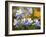 Blue Columbine (Aquilegia Coerulea)-Bob Gibbons-Framed Photographic Print