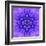 Blue Concentric Flower Center: Mandala Kaleidoscopic-tr3gi-Framed Art Print