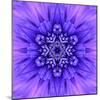 Blue Concentric Flower Center: Mandala Kaleidoscopic-tr3gi-Mounted Art Print