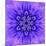 Blue Concentric Flower Center: Mandala Kaleidoscopic-tr3gi-Mounted Art Print