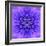 Blue Concentric Flower Center: Mandala Kaleidoscopic-tr3gi-Framed Art Print