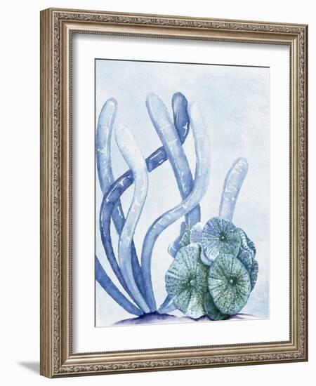 Blue Coral 1-Kimberly Allen-Framed Art Print