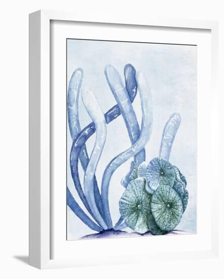 Blue Coral 1-Kimberly Allen-Framed Art Print